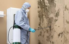 Forensic Mold Investigation in Sun Prairie, MT